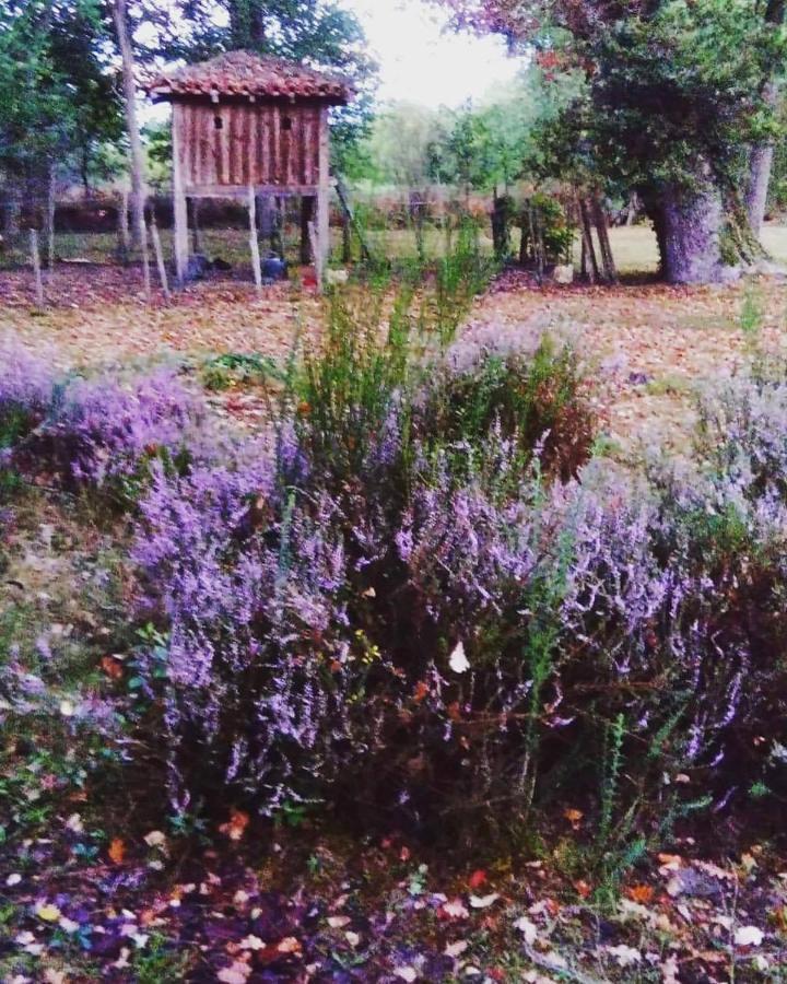 Les Hotes Des Guillemets Laglorieuse Kültér fotó
